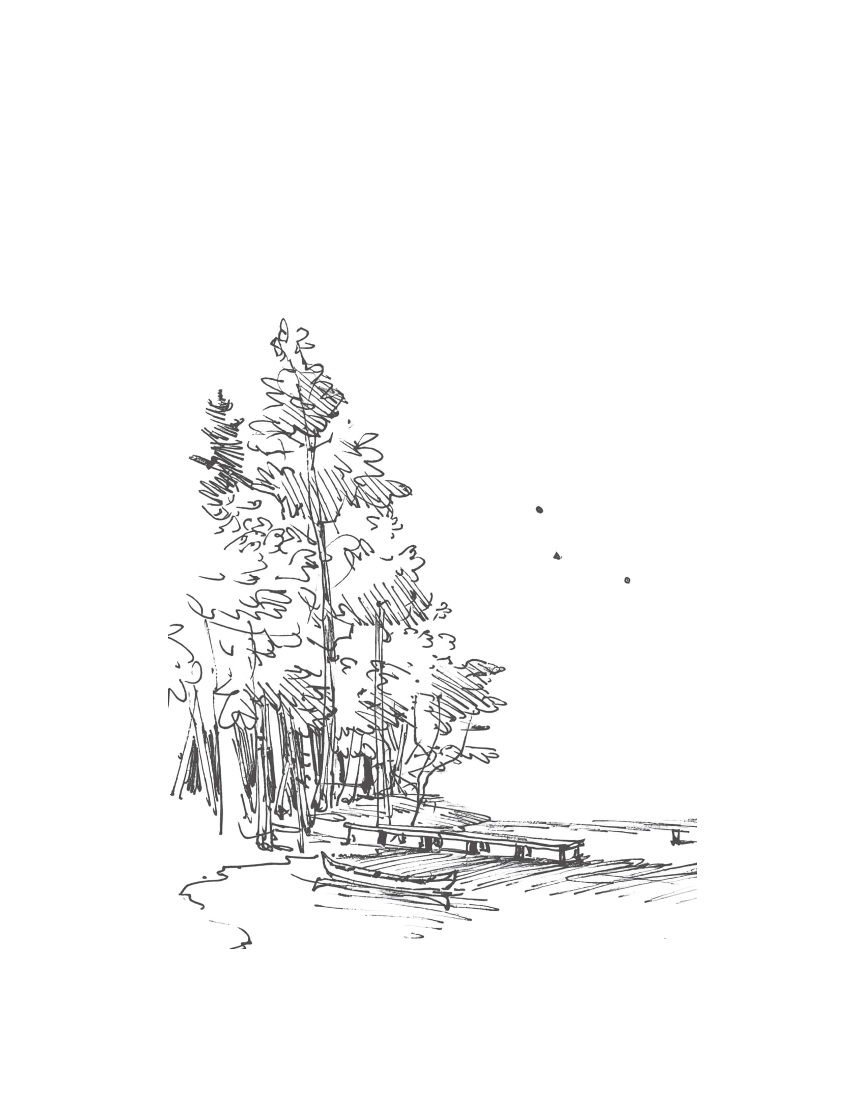 bỏ phố về quê