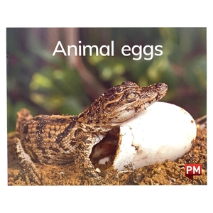 bộ pm readers set 1 - vui học tiếng anh qua truyện tranh