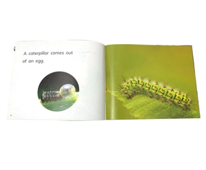 bộ pm readers set 1 - vui học tiếng anh qua truyện tranh