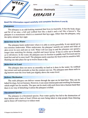 bộ primary level score workbook 4