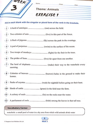bộ primary level score workbook 4