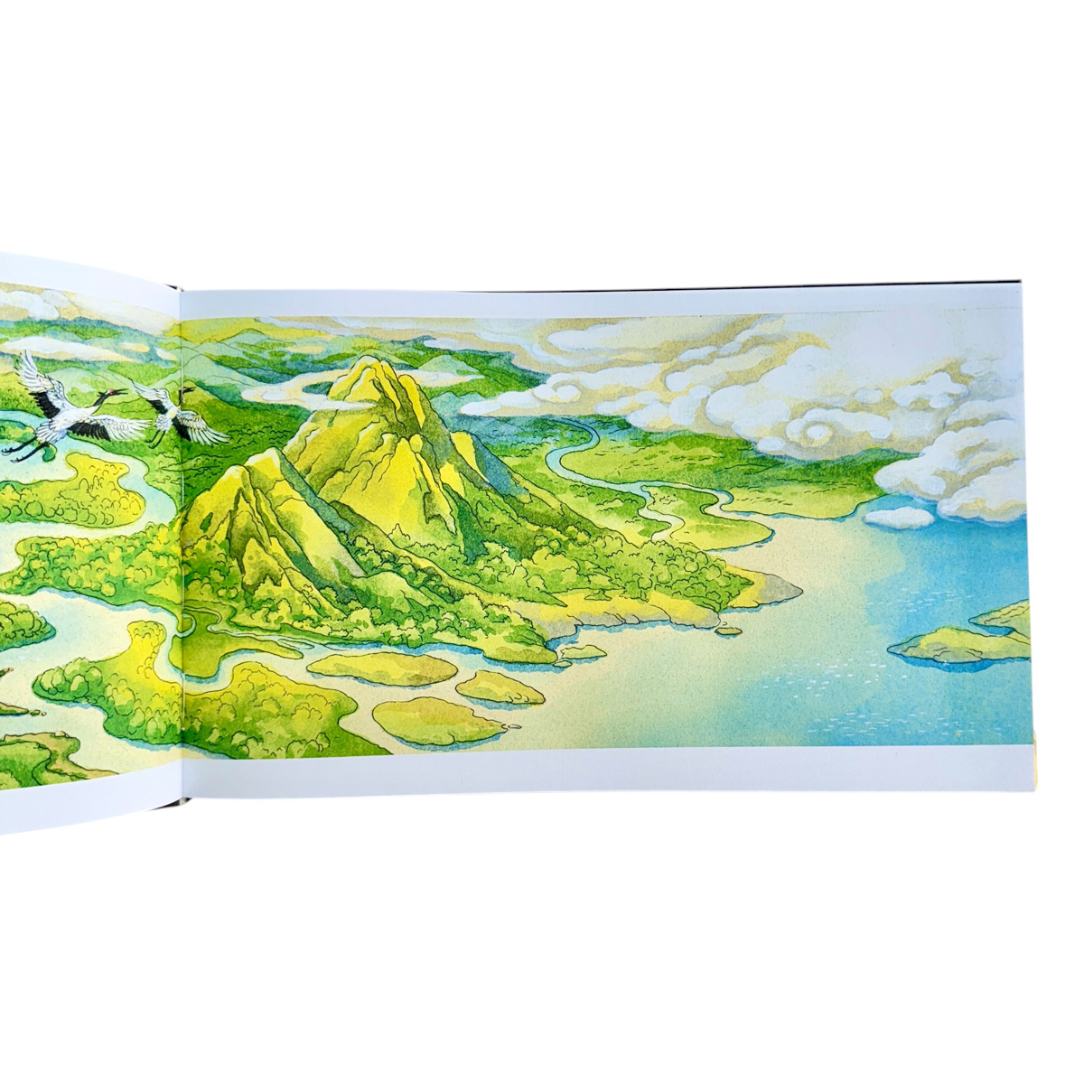 Bo Qua Danh Cho Be Trai