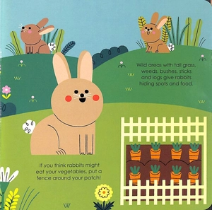 bộ rabbit (my little green world 5)