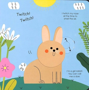 bộ rabbit (my little green world 5)