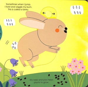 bộ rabbit (my little green world 5)