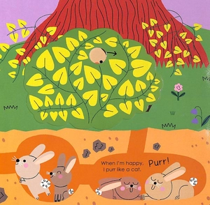 bộ rabbit (my little green world 5)