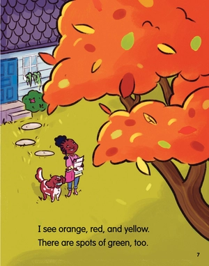 bộ rainbow days 1 - the gray day (an acorn book)