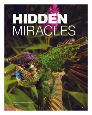 bộ reading with ted student book3