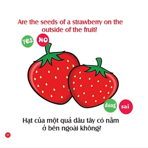 bộ rèn luyện iq-eq-cq - mẹ hỏi bé trả lời 4 - song ngữ anh-việt