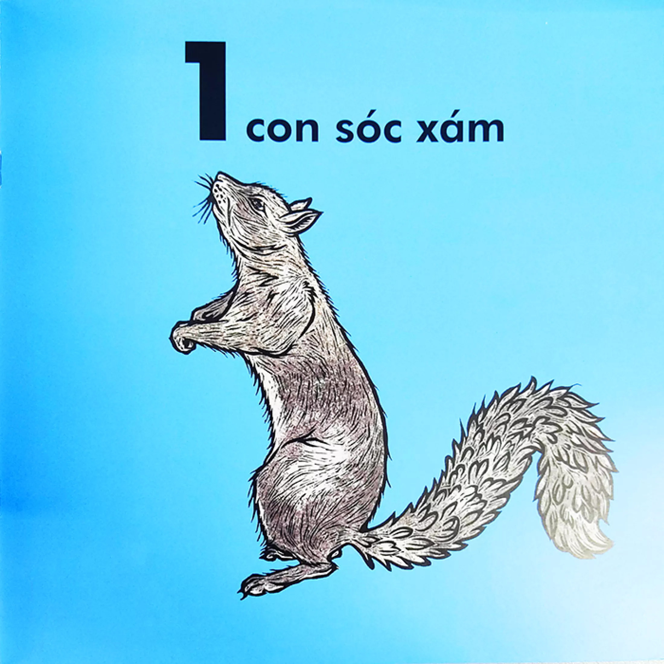 bọ rùa nặng chừng nào? (tái bản 2023)