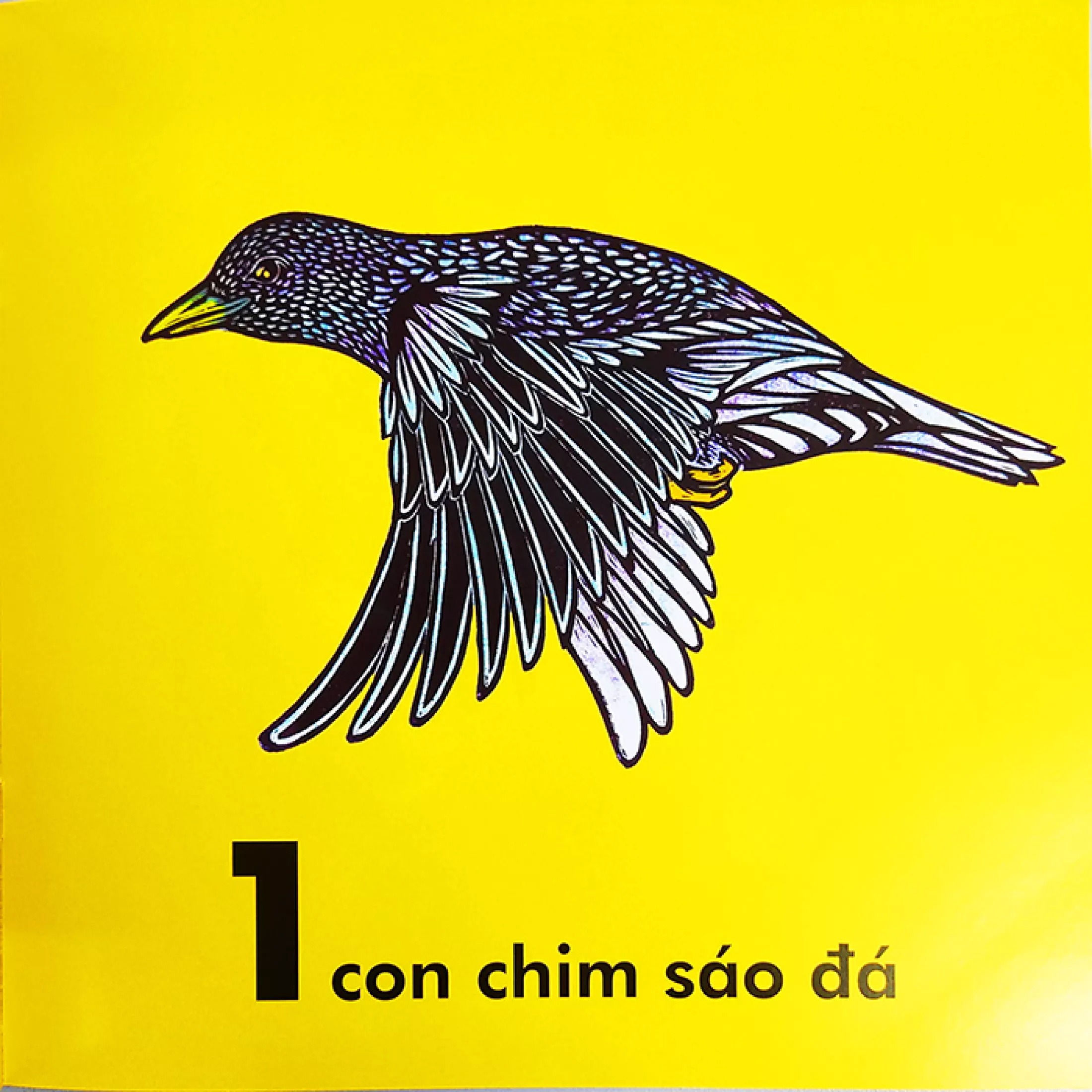 bọ rùa nặng chừng nào? (tái bản 2023)