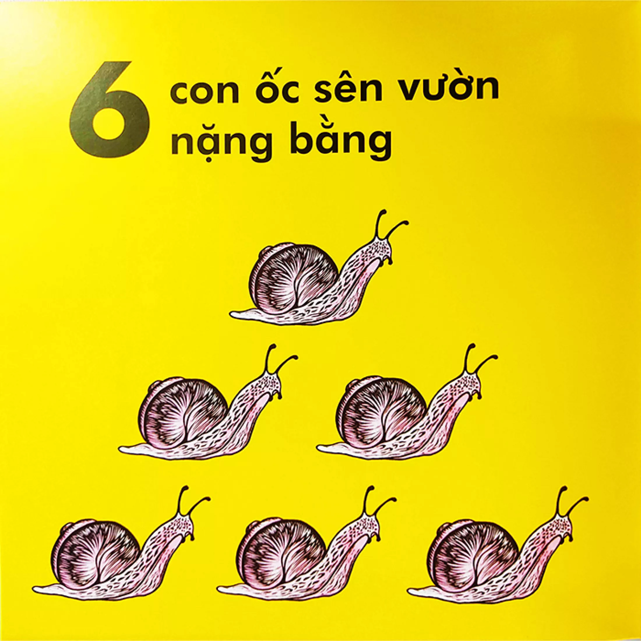 bọ rùa nặng chừng nào? (tái bản 2023)