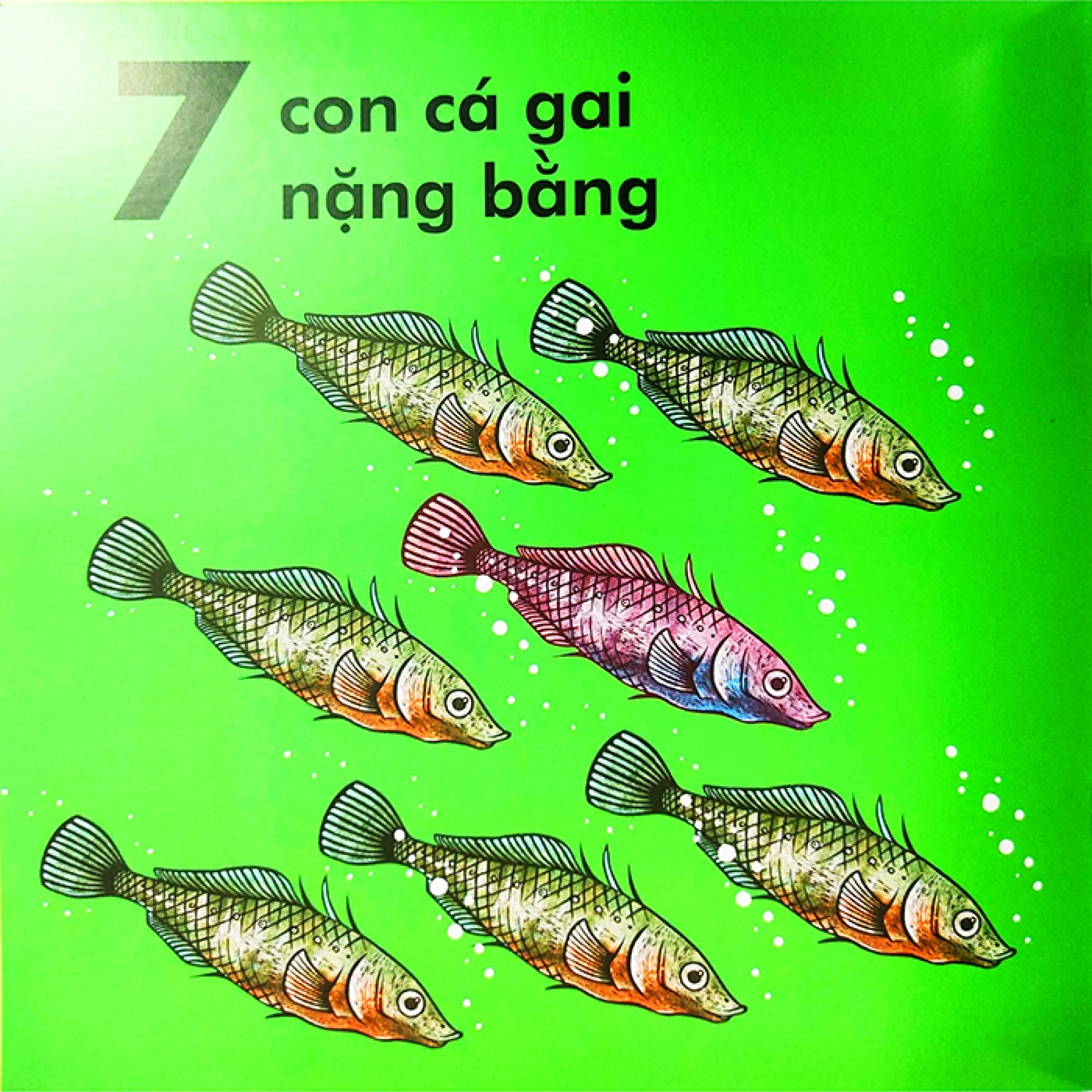 bọ rùa nặng chừng nào? (tái bản 2023)