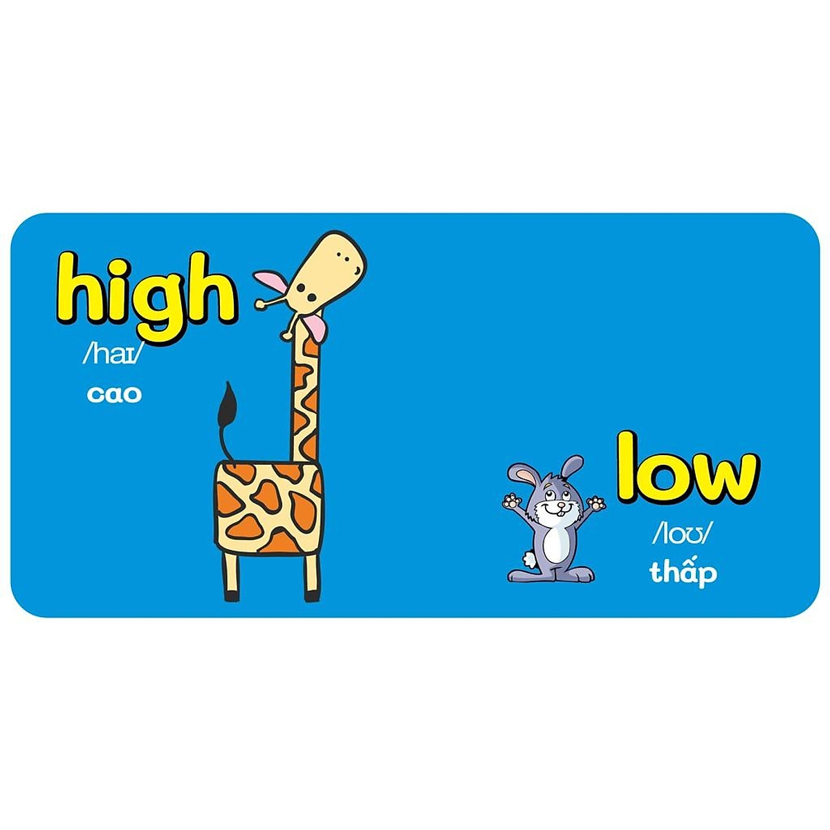 bộ sách baby's first picture dictionary - từ điển bằng hình đầu tiên của bé (bộ 9 cuốn)