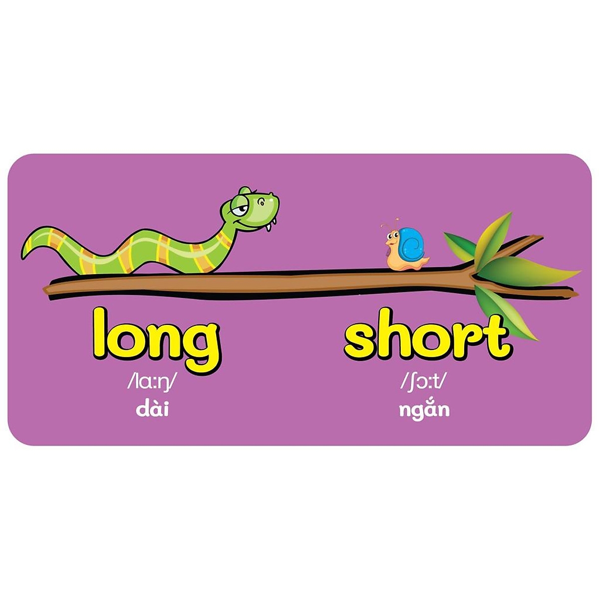 bộ sách baby's first picture dictionary - từ điển bằng hình đầu tiên của bé (bộ 9 cuốn)