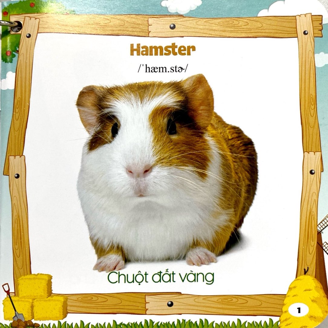 bộ sách bách khoa toàn thư cho bé (bộ 5 cuốn)