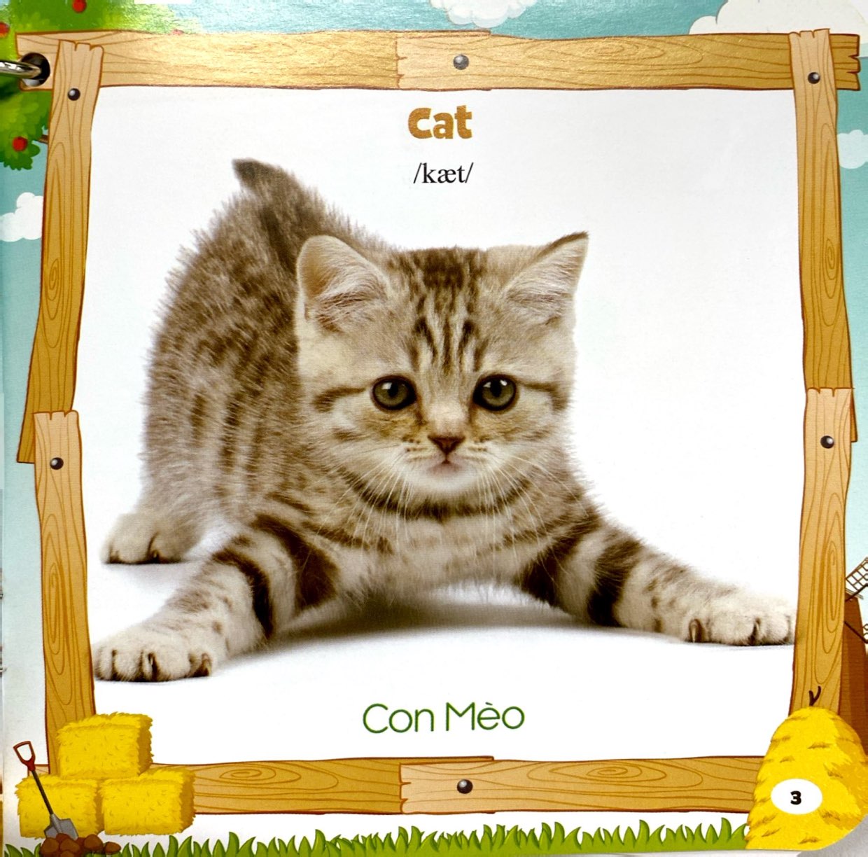 bộ sách bách khoa toàn thư cho bé (bộ 5 cuốn)