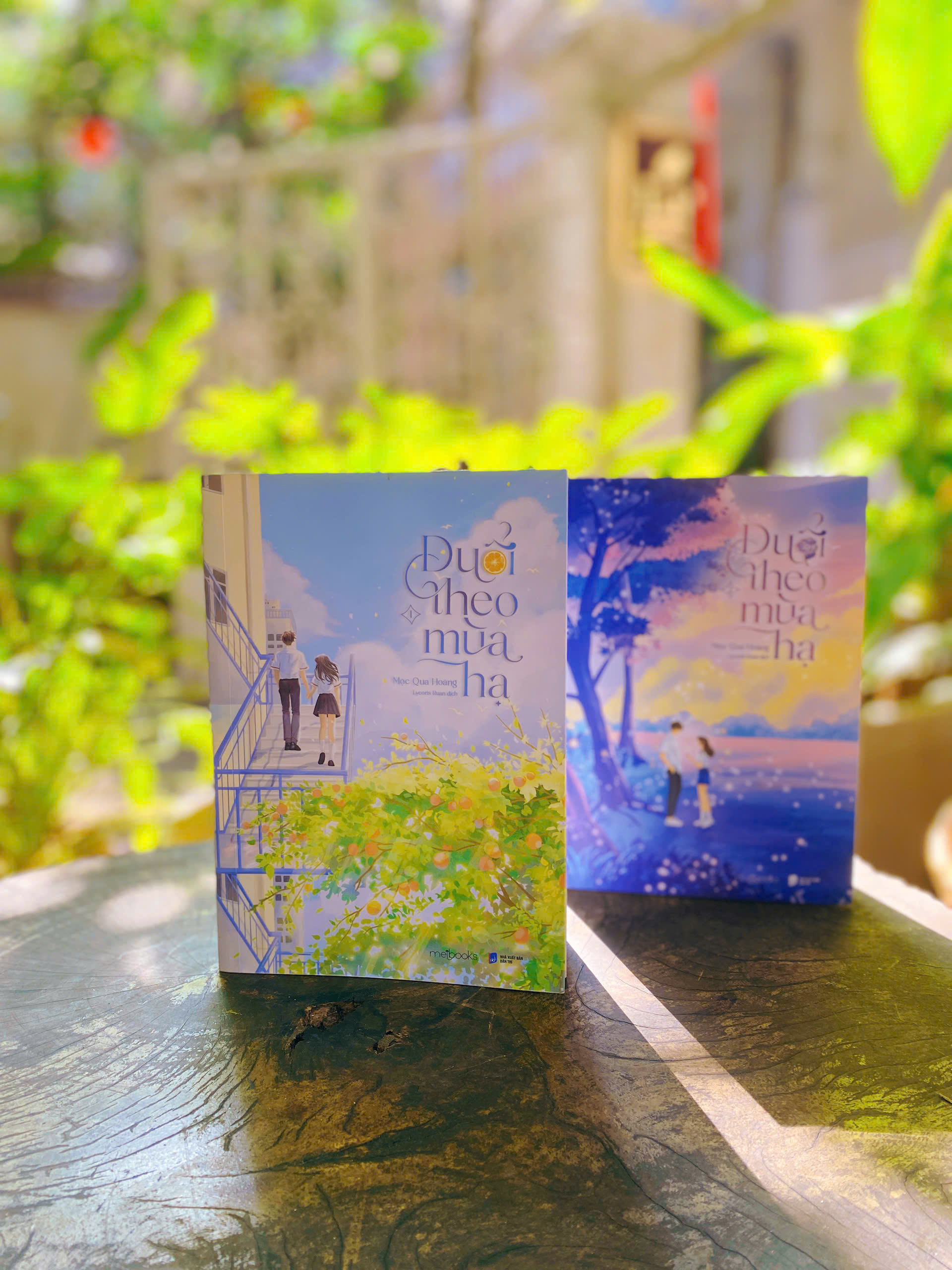 Bộ Sách Đuổi Theo Mùa Hạ - Tập 1 + Tập 2 (Bộ 2 Tập) (Tái Bản 2025)