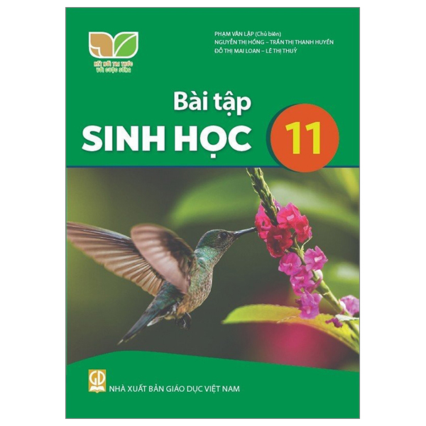bộ sách giáo khoa lớp 11 - kết nối - chương trình chuẩn (bài học + bài tập)