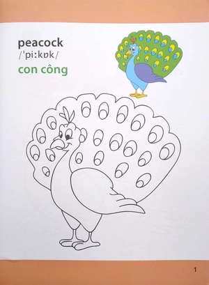 bộ sách học tập, tô màu, vui chơi - bộ 8 cuốn - dành cho bé từ 05 tuổi