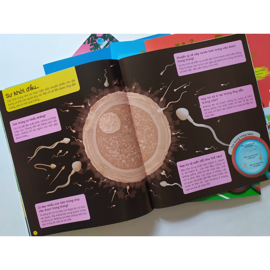 bộ sách hỏi - đáp (bộ 6 cuốn)