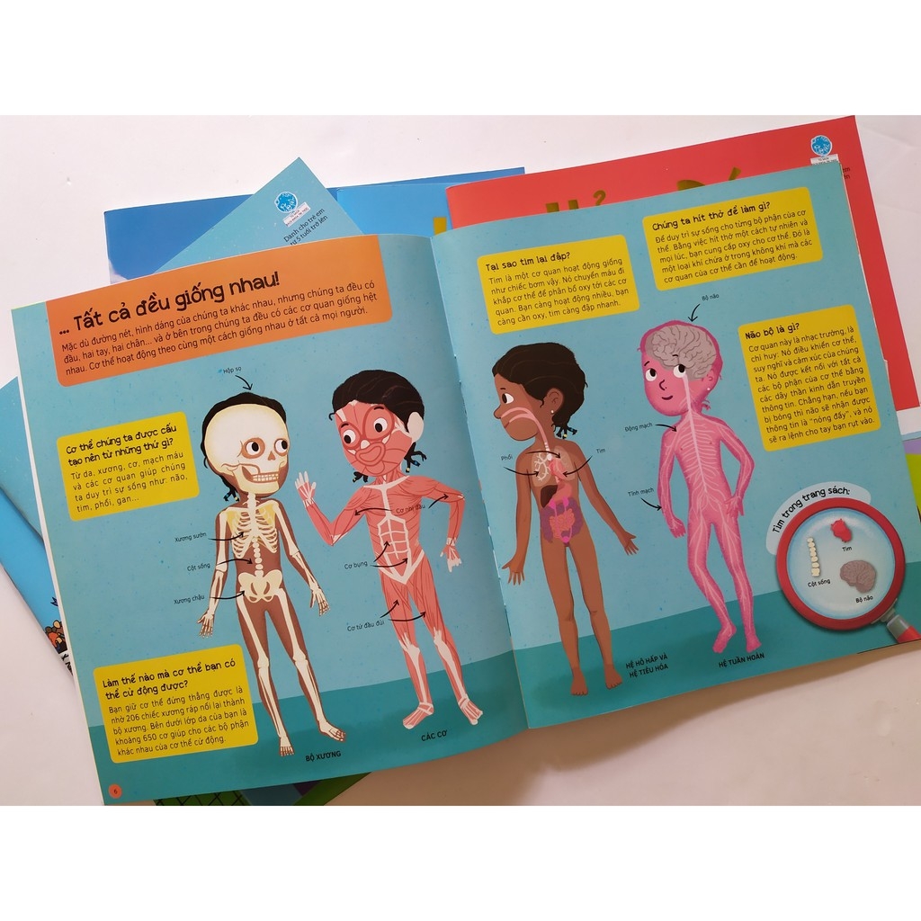 bộ sách hỏi - đáp (bộ 6 cuốn)