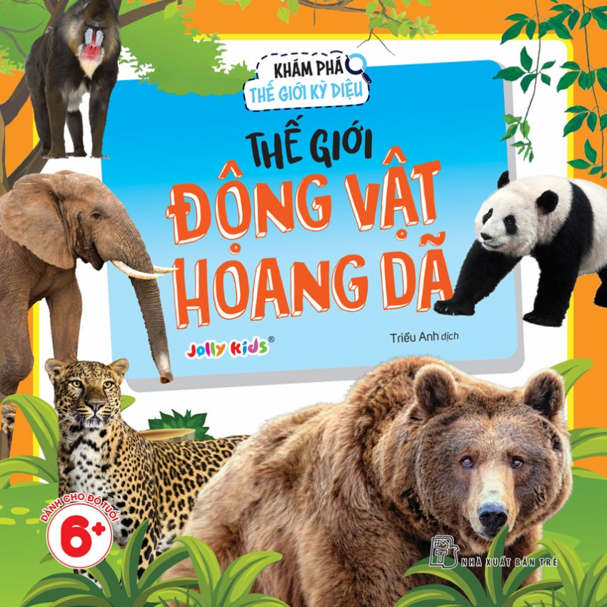 Bộ Sách Khám Phá Thế Giới Kỳ Diệu (Bộ 8 Cuốn)