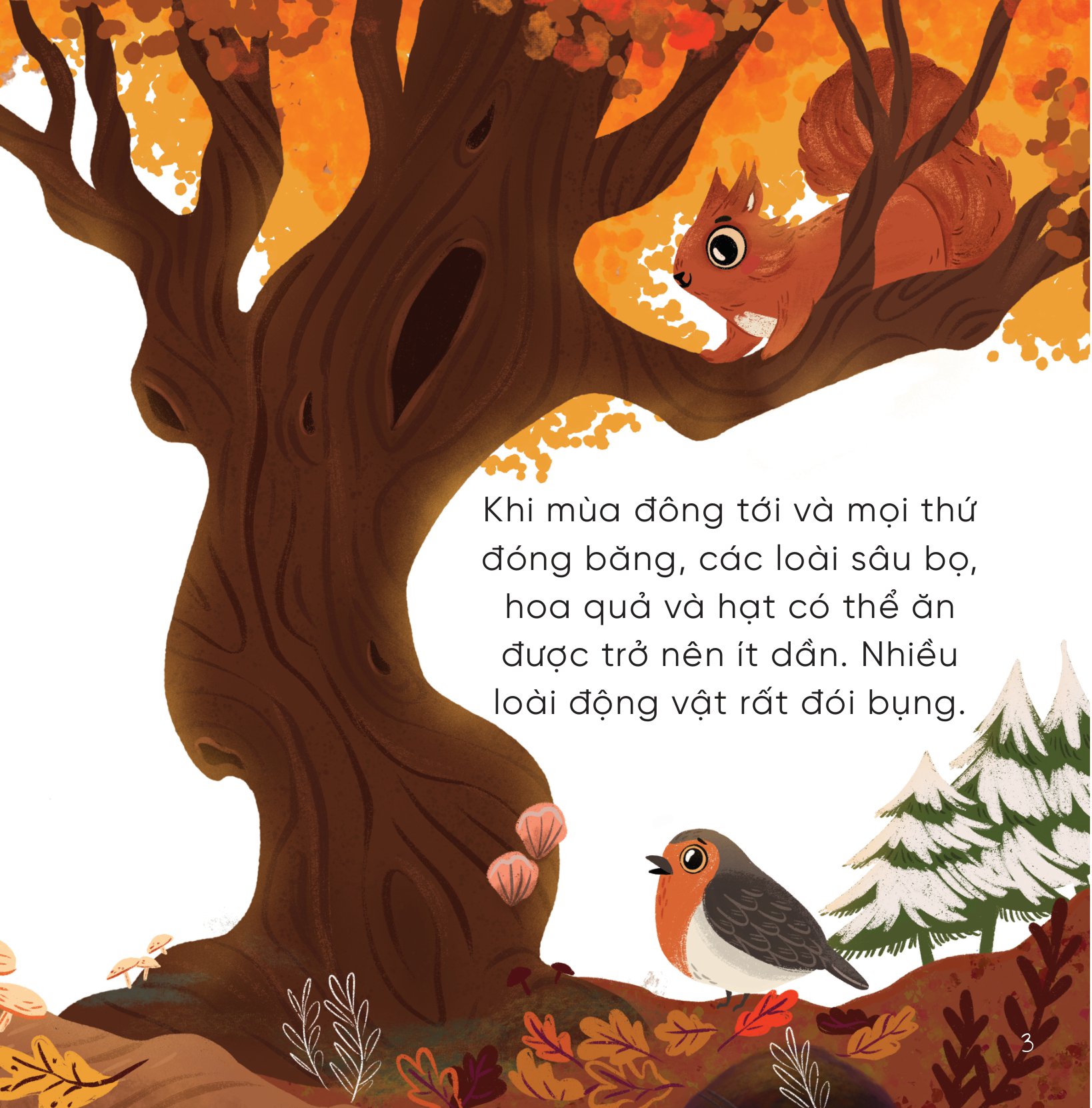 bộ sách những bài học nhỏ từ rừng xanh (bộ 4 cuốn)