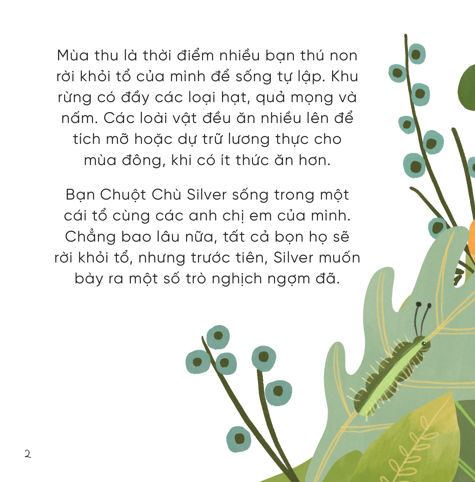 bộ sách những bài học nhỏ từ rừng xanh (bộ 4 cuốn)