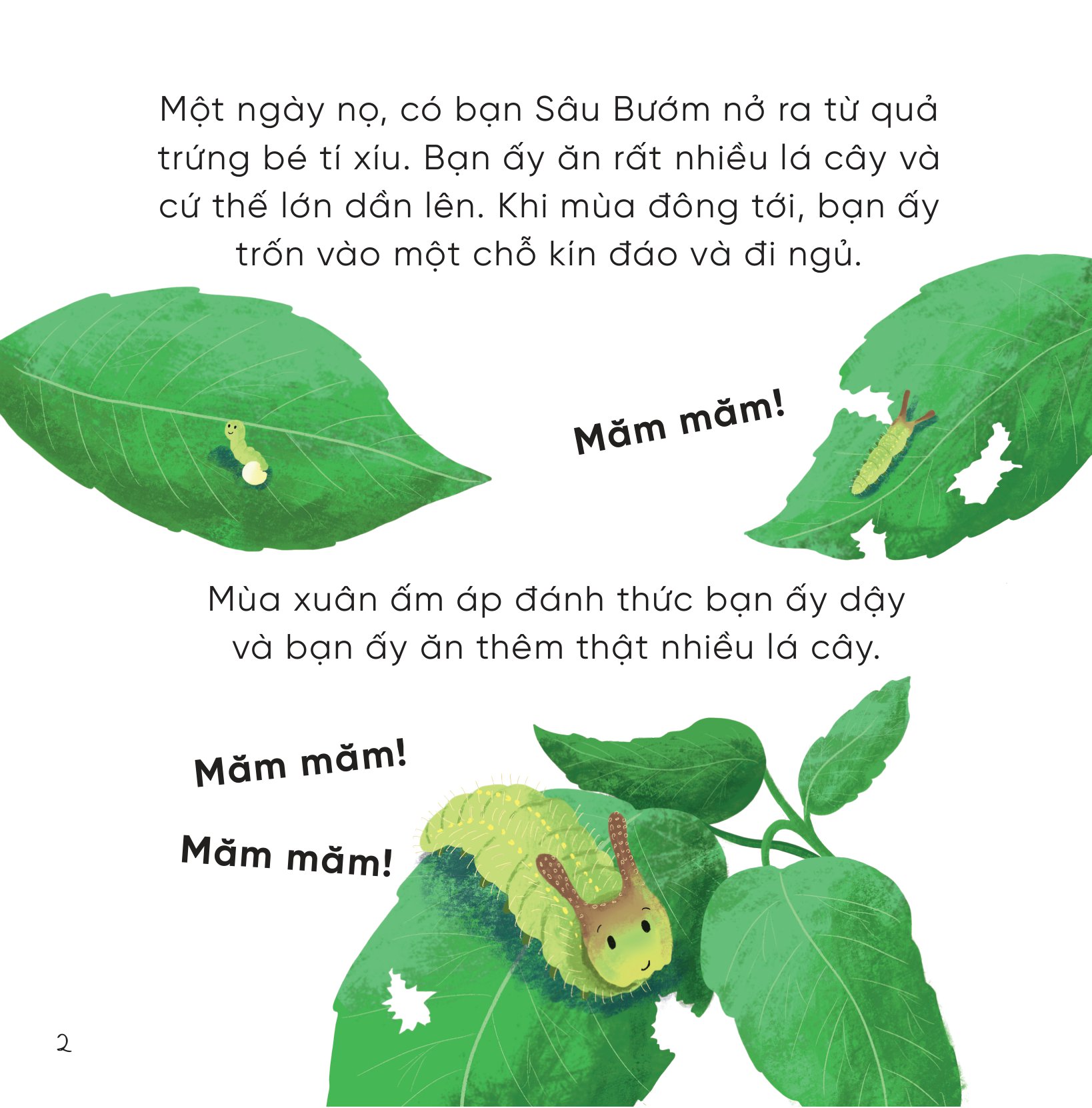 bộ sách những bài học nhỏ từ rừng xanh (bộ 4 cuốn)