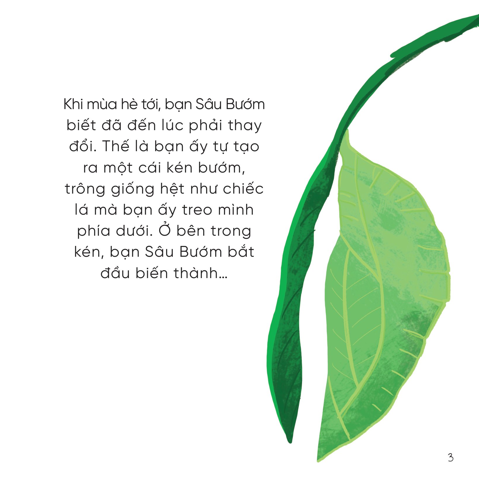 bộ sách những bài học nhỏ từ rừng xanh (bộ 4 cuốn)