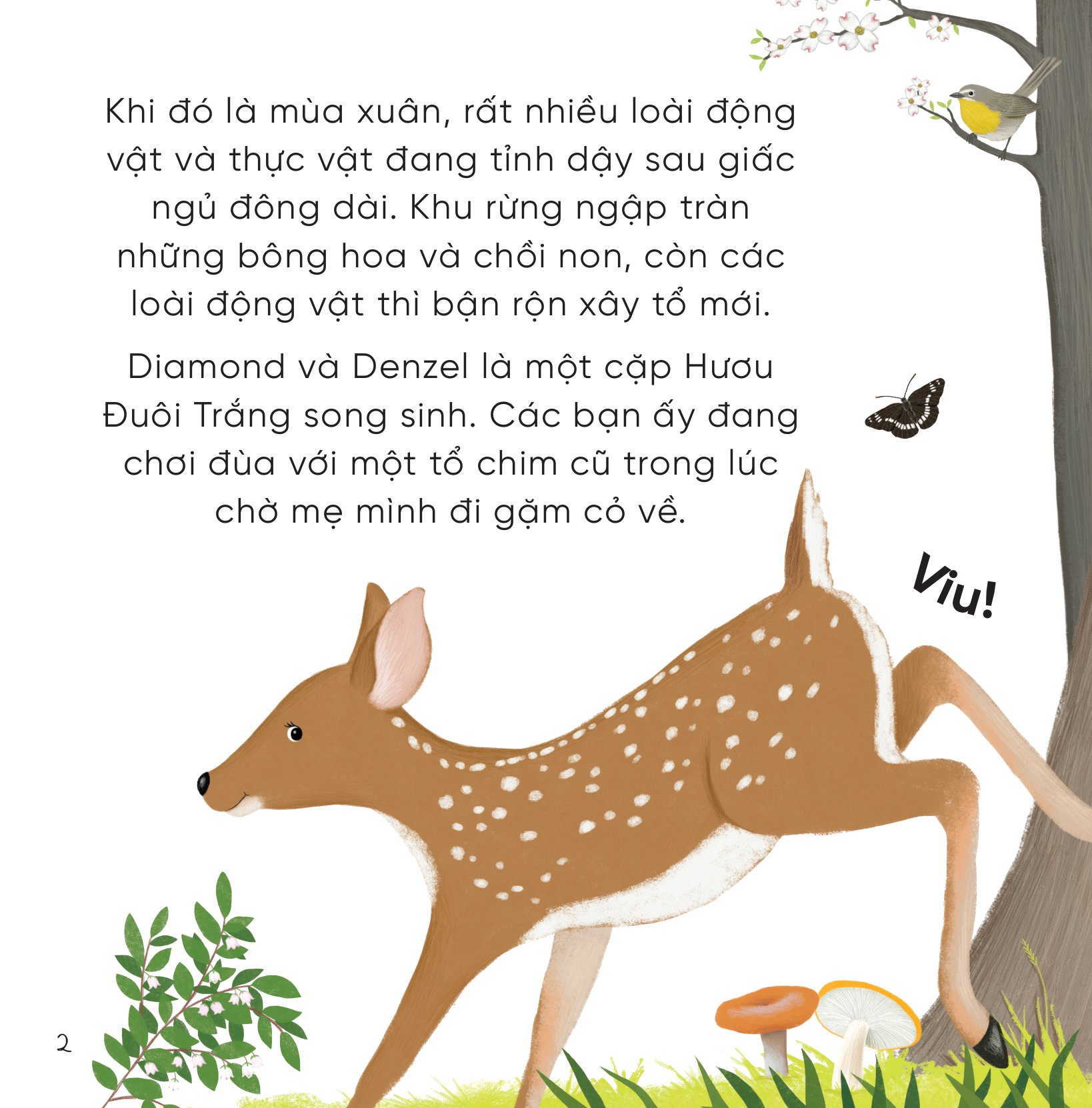 bộ sách những bài học nhỏ từ rừng xanh (bộ 4 cuốn)