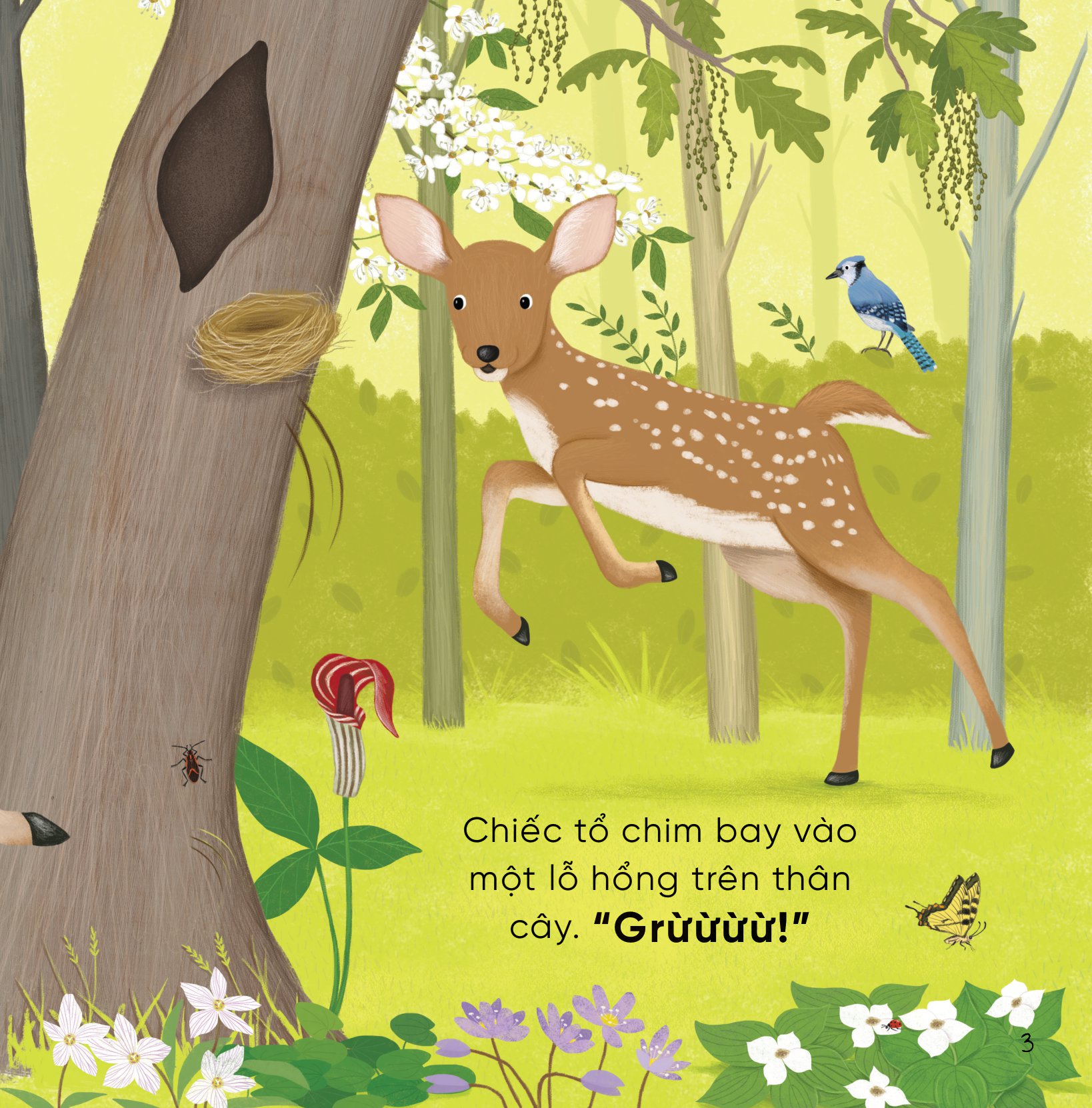 bộ sách những bài học nhỏ từ rừng xanh (bộ 4 cuốn)