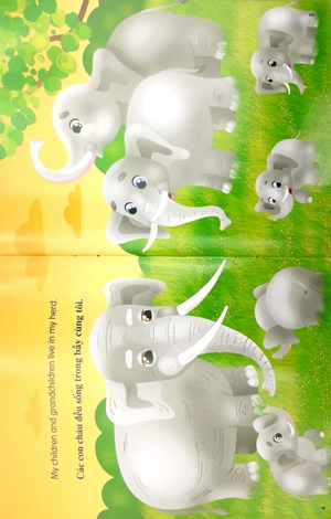 bộ sách những câu chuyện về thế giới loài vật 1 (bộ 6 cuốn)