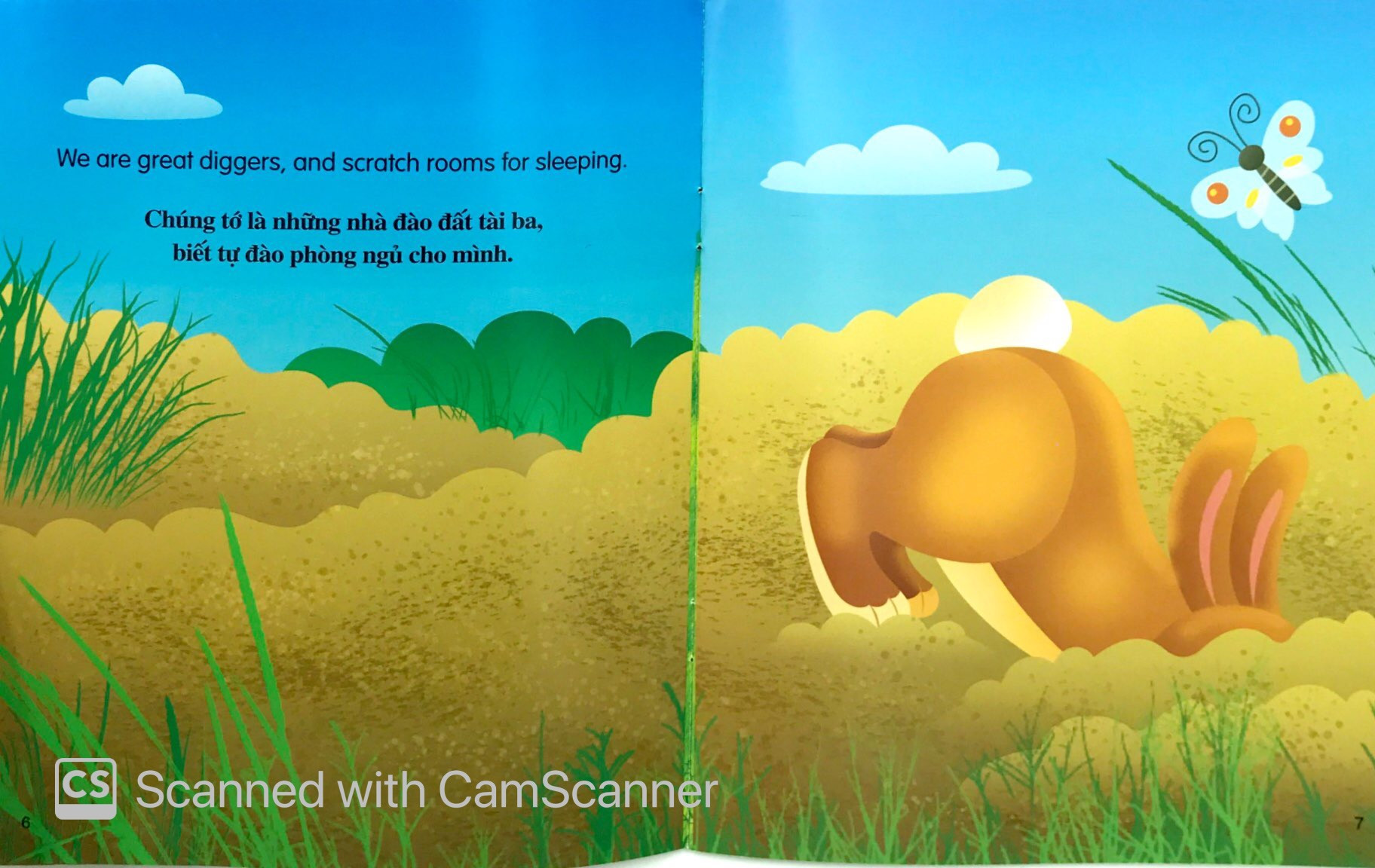 bộ sách những câu chuyện về thế giới loài vật 2 (bộ 6 cuốn)