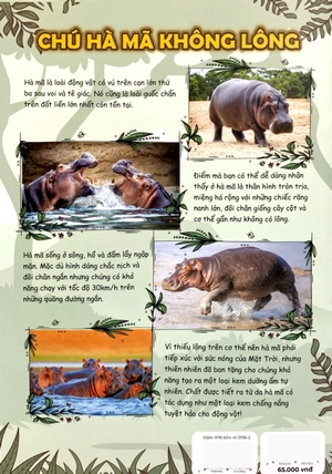 bộ sách the young scientist - truyện tranh khoa học cho trẻ em - tập 8 - level 1+2+3 (bộ 3 cuốn)