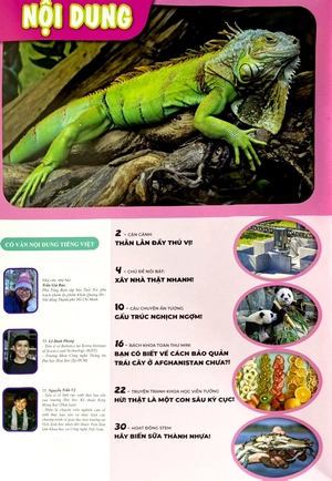 bộ sách the young scientist - truyện tranh khoa học cho trẻ em - tập 8 - level 1+2+3 (bộ 3 cuốn)