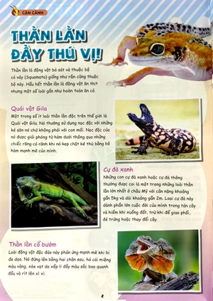 bộ sách the young scientist - truyện tranh khoa học cho trẻ em - tập 8 - level 1+2+3 (bộ 3 cuốn)