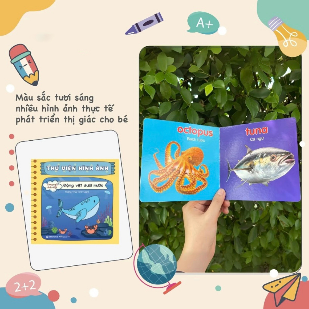 Bo Sach Thu Vien Hinh Anh (Bo 9 Cuon)