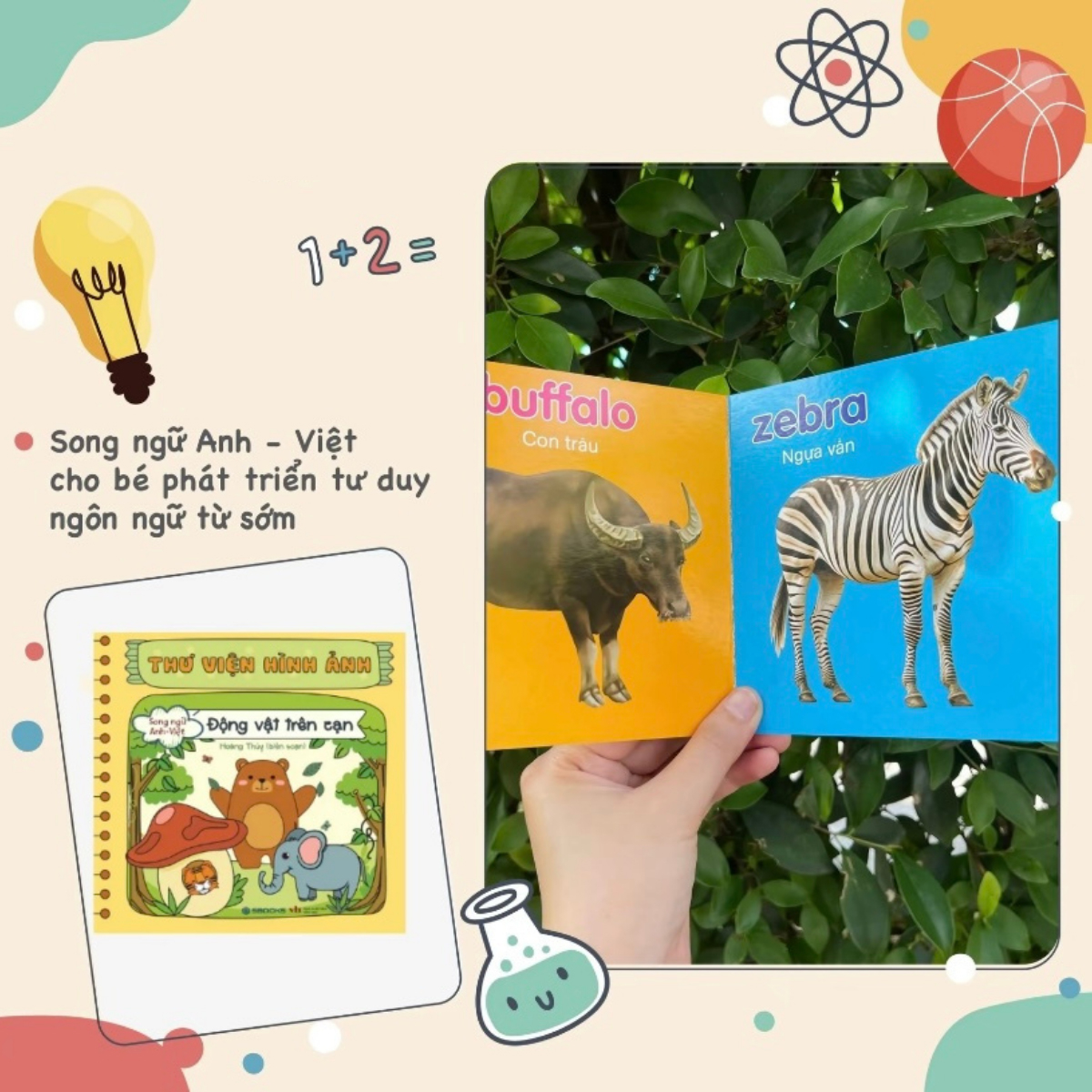 Bo Sach Thu Vien Hinh Anh (Bo 9 Cuon)