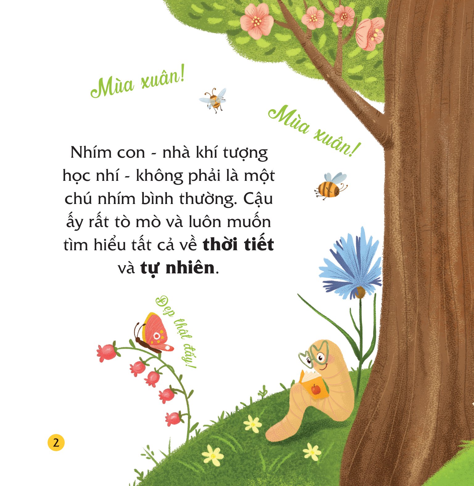 bộ sách truyện kể bốn mùa - nhím con ham học hỏi (bộ 4 cuốn)