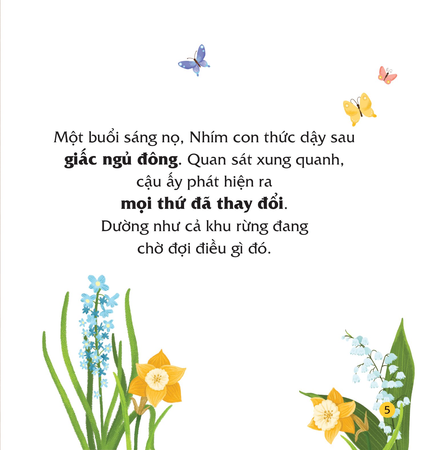 bộ sách truyện kể bốn mùa - nhím con ham học hỏi (bộ 4 cuốn)