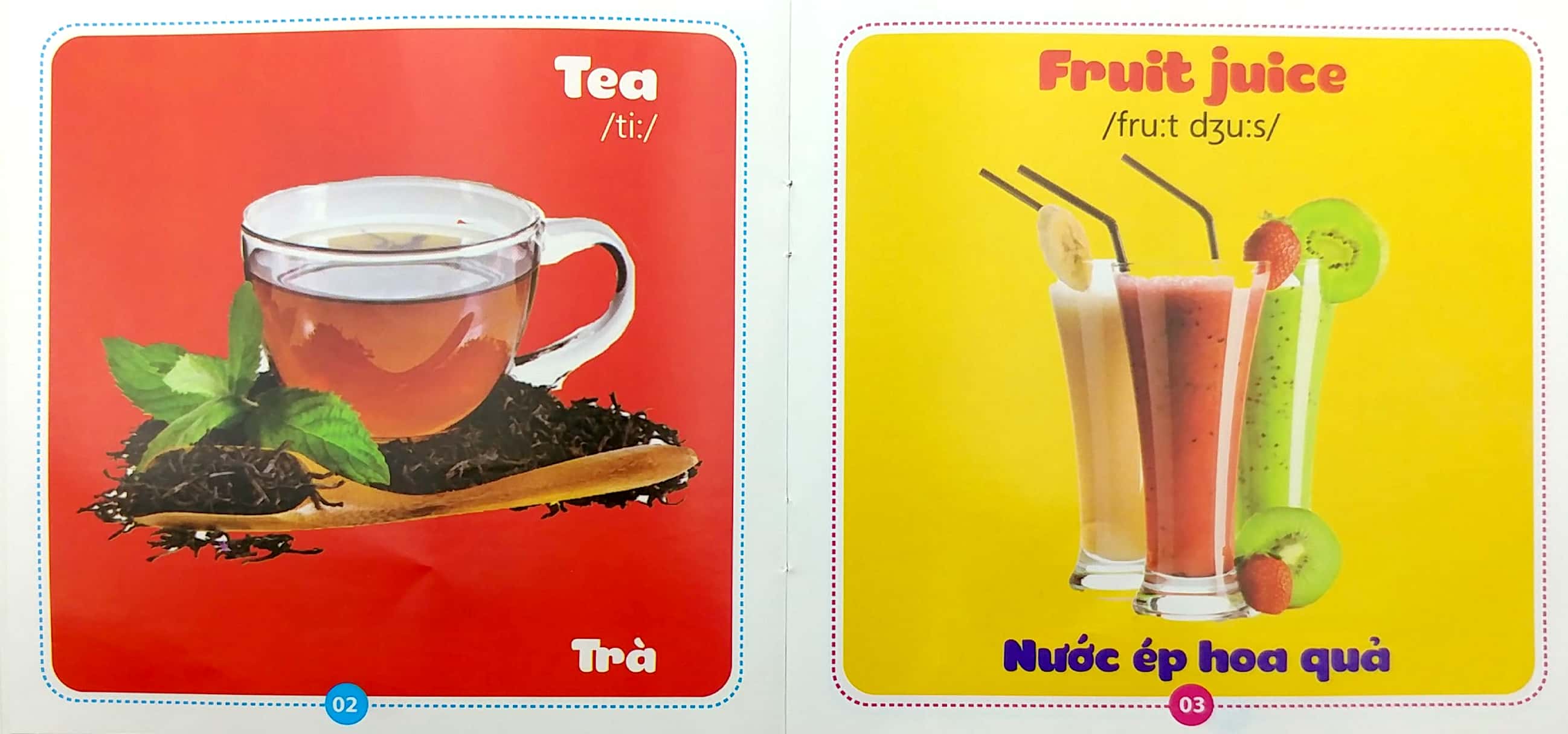 bộ sách từ điển bằng hình cho bé (song ngữ anh-việt) - bộ 10 cuốn