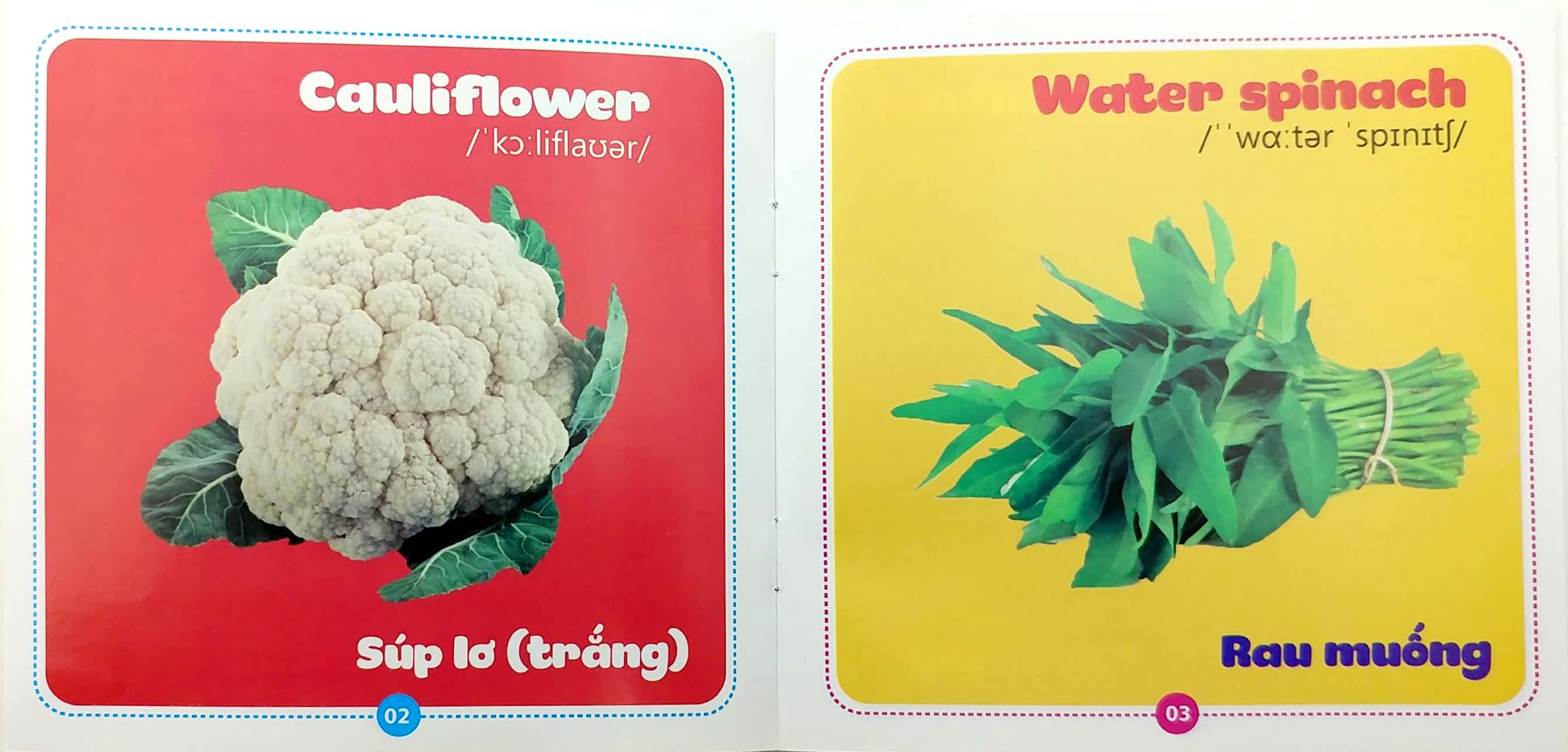 bộ sách từ điển bằng hình cho bé (song ngữ anh-việt) - bộ 10 cuốn