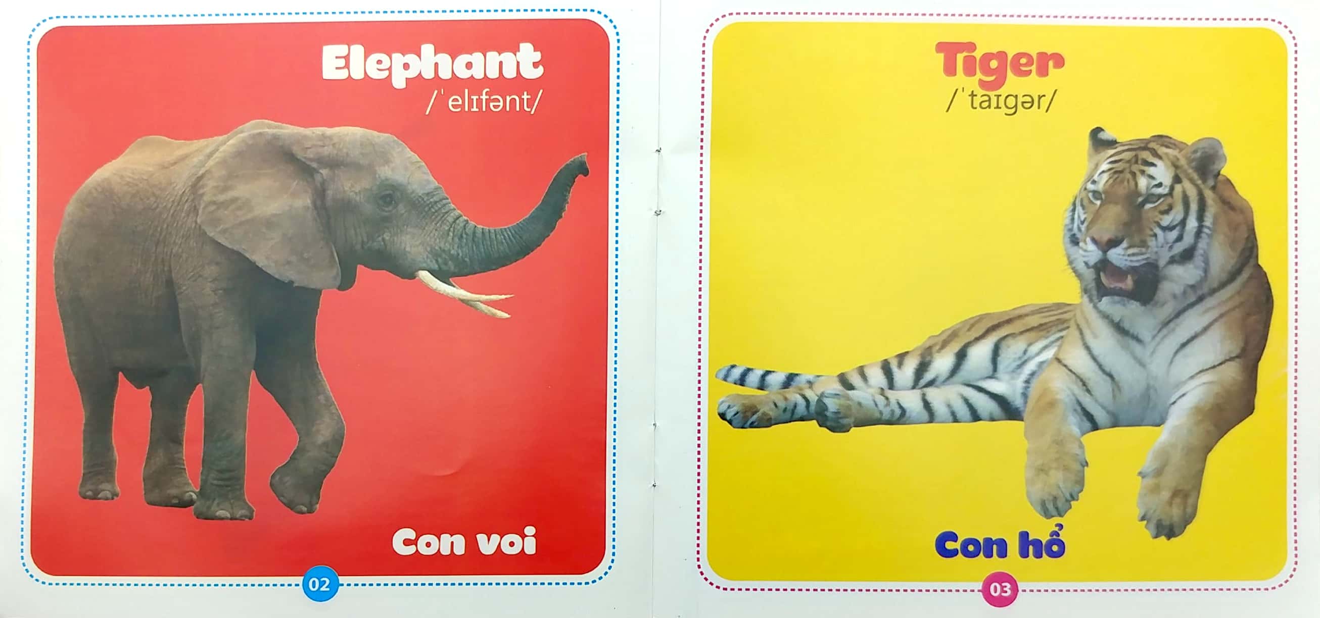 bộ sách từ điển bằng hình cho bé (song ngữ anh-việt) - bộ 10 cuốn