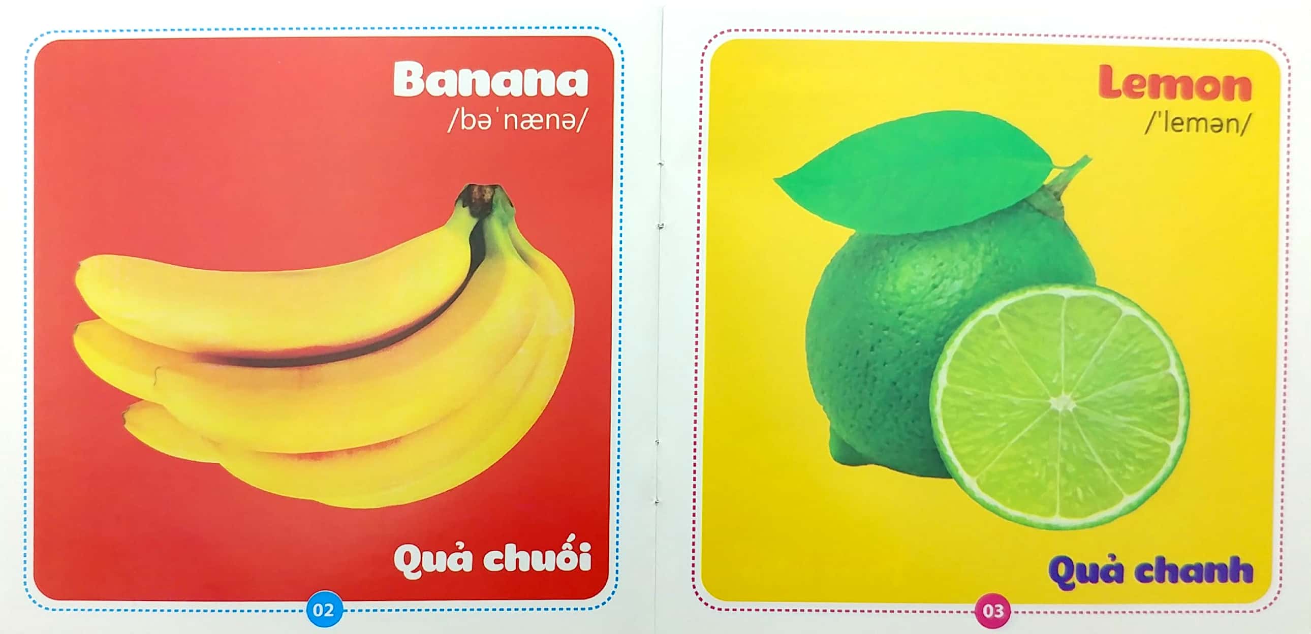 bộ sách từ điển bằng hình cho bé (song ngữ anh-việt) - bộ 10 cuốn