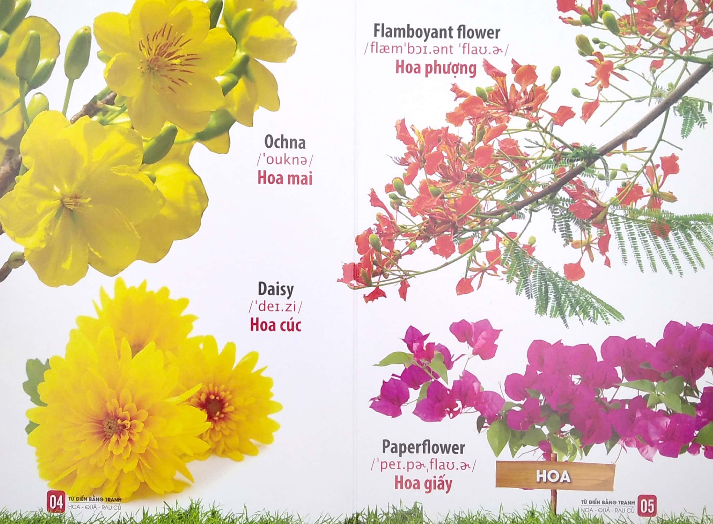 bộ sách từ điển bằng tranh: hoa, quả, rau củ - chữ cái và số đếm - phương tiện giao thông (bộ 3 cuốn)