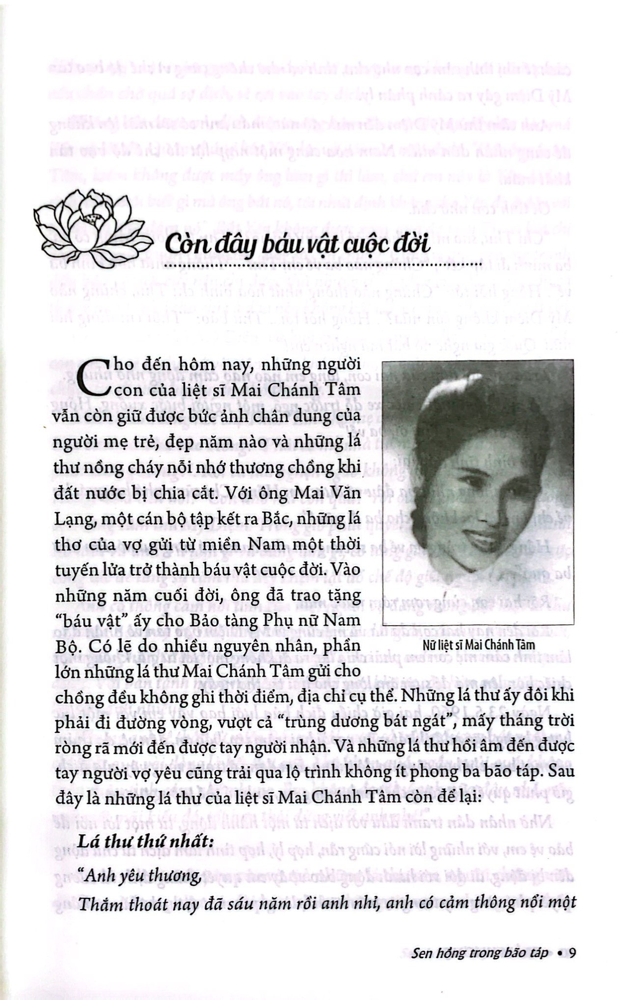 bộ sen hồng trong bão táp - tập 2