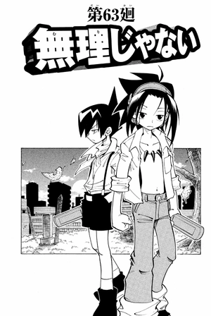 bộ shaman king 8