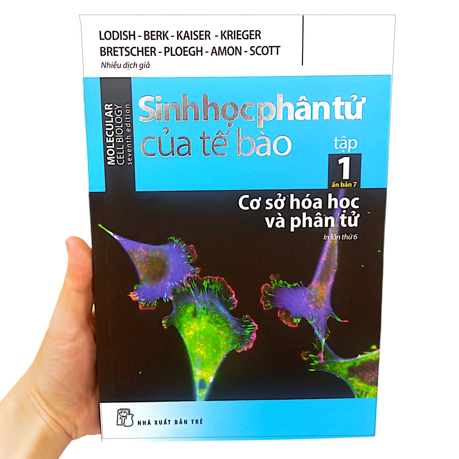 Bo
						
										
										Sinh Hoc Phan Tu Cua Te Bao - Tap 1 - Co So Hoa Hoc Va Phan Tu (Tai Ban 2024)
